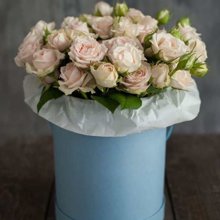 Бокс с бомбастиком в Бийске