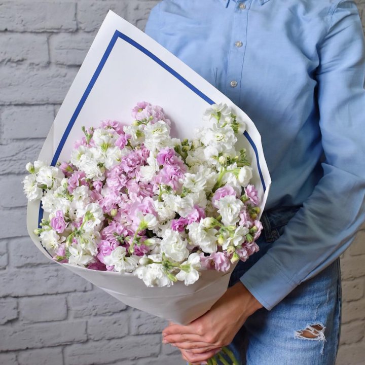 Маттиола в Бийске