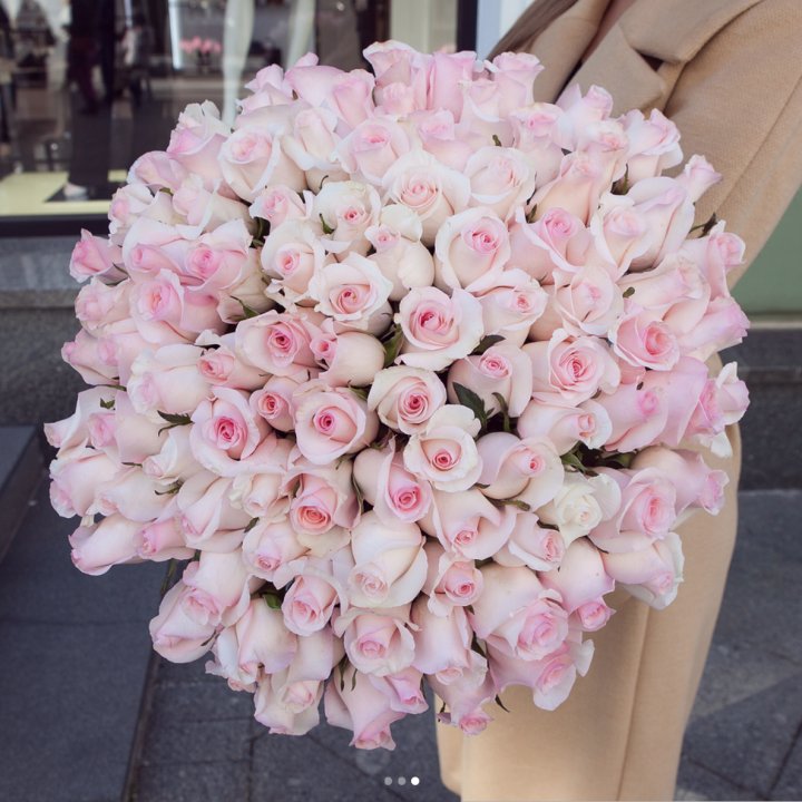 Розы "Пинк бум" в Бийске