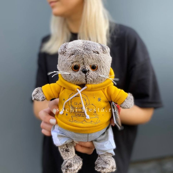 Кот Басик в худи в Бийске