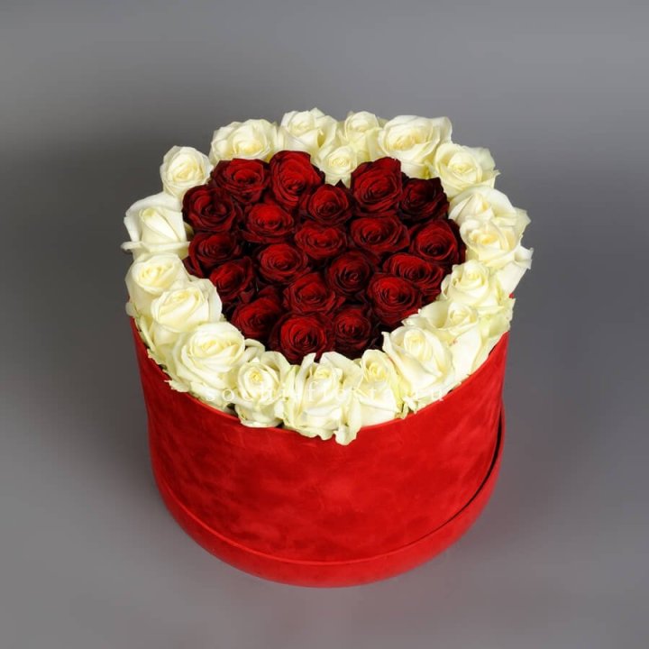 39 красных и белых роз в цилиндре в Бийске
