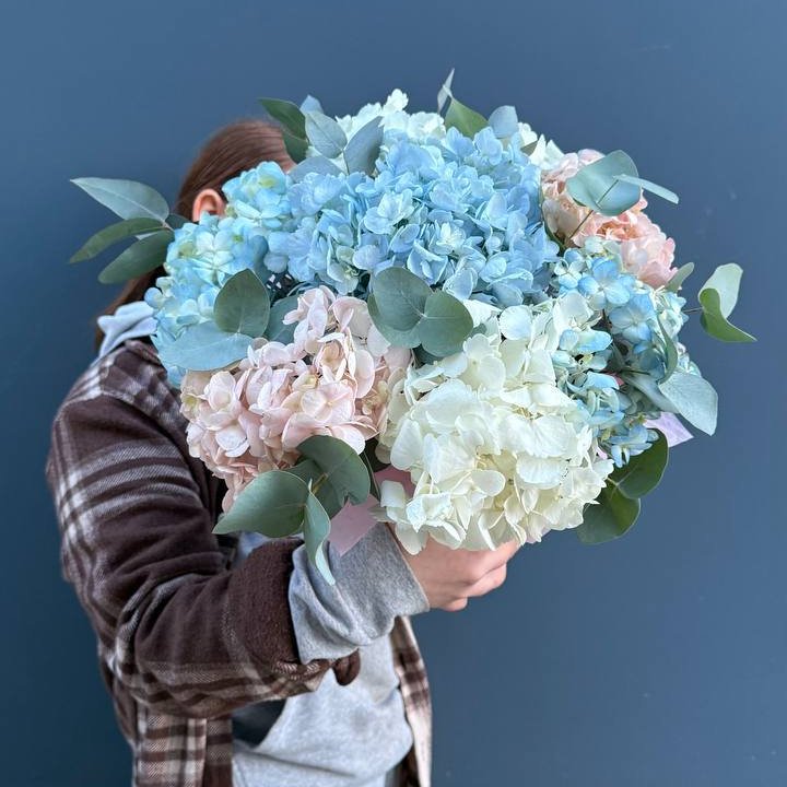 Гортензии в коробочке в Бийске