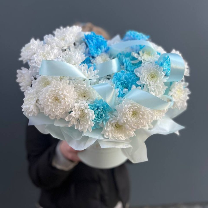 Хризнтемы в боксе в Бийске