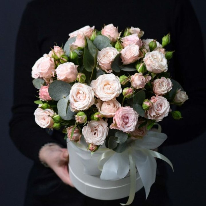 Бомбастик бокс №2 в Бийске