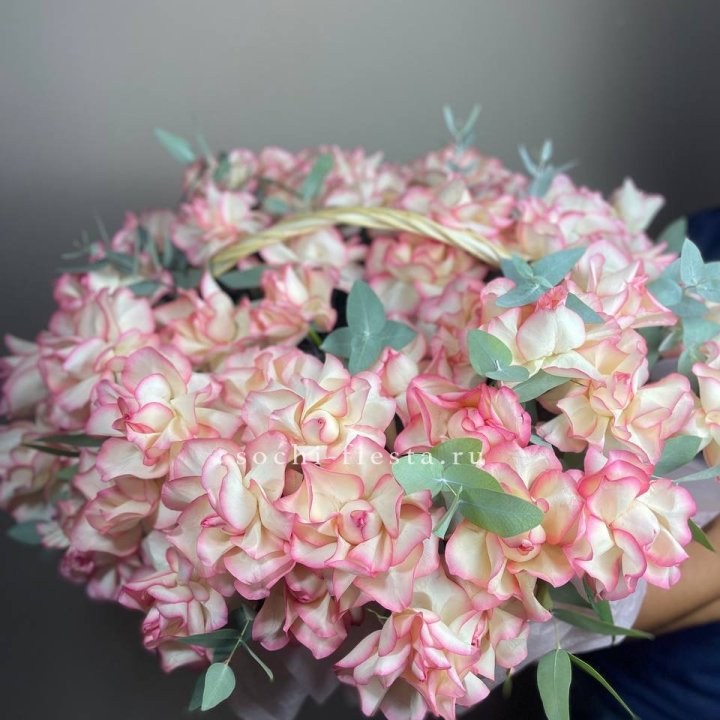 51 джумилия  в корзине   в Бийске