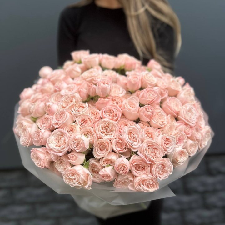 51 кустовая роза Бомбастик в Бийске