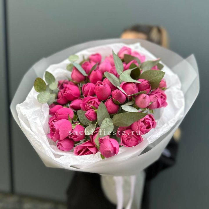 17 Мисти бабблс в Бийске