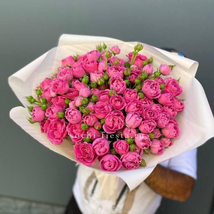 Мисти Баблс 35шт в Бийске