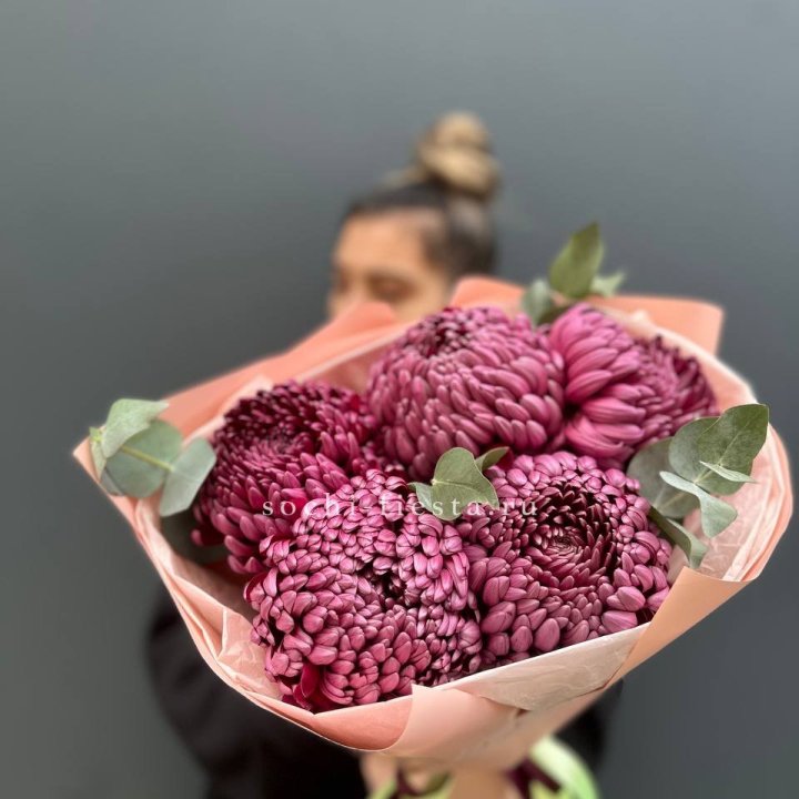 Хризантемы  Бигуди  в Бийске