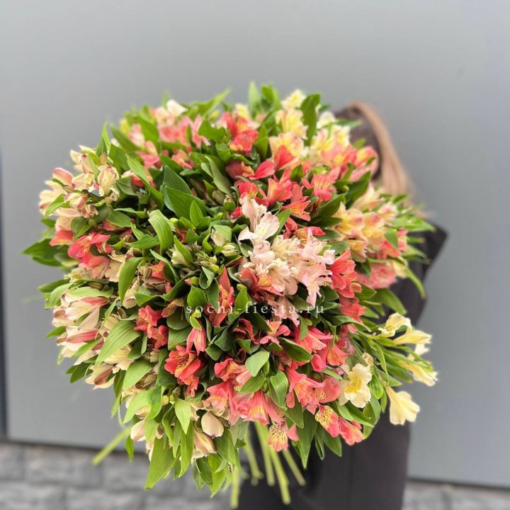 51 альстромерия в Бийске