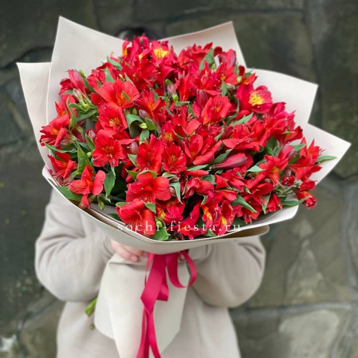 51 альстромерия в Бийске