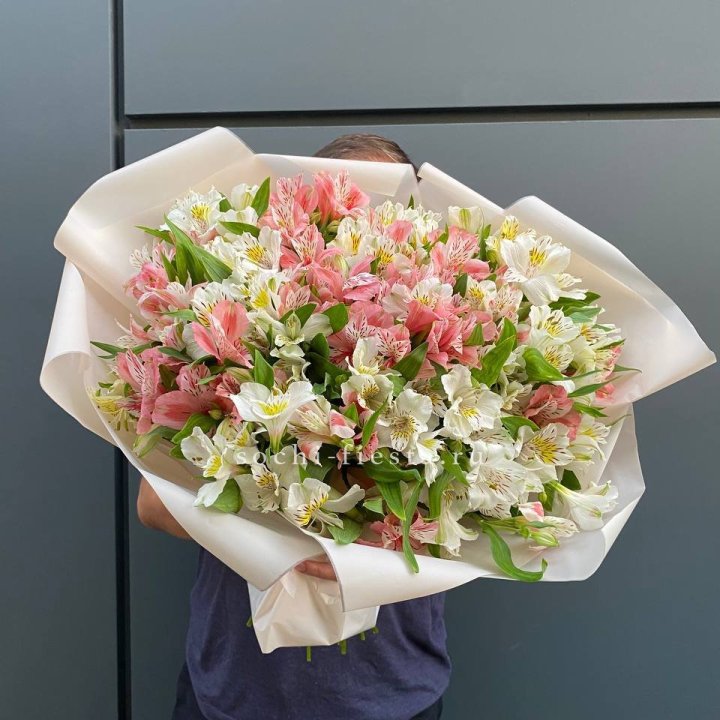 39 альстромерий в Бийске