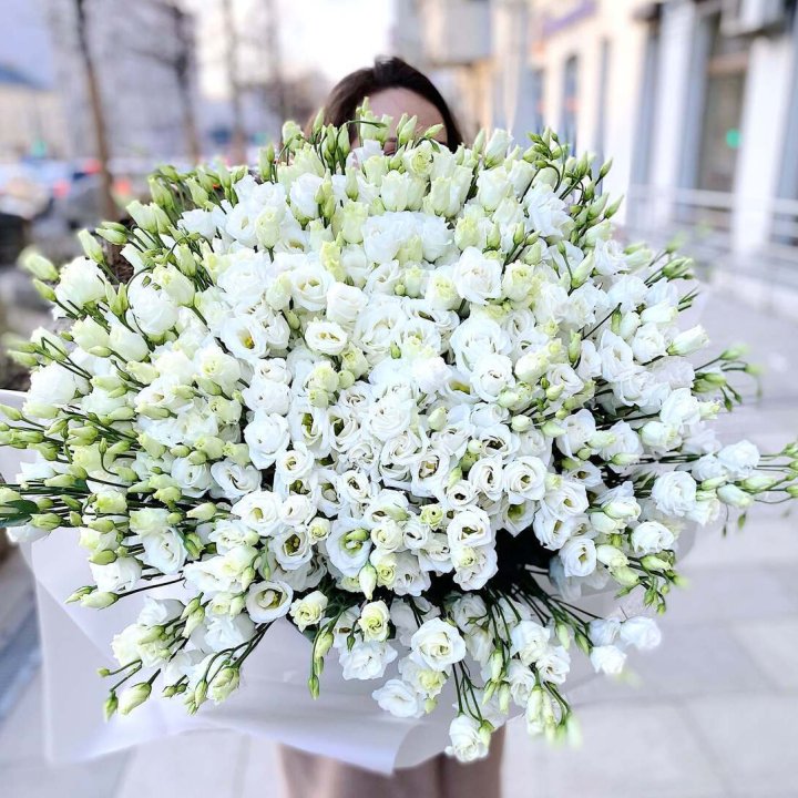 101 белая эустома в Бийске