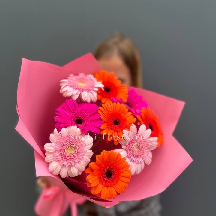 Краски в Бийске