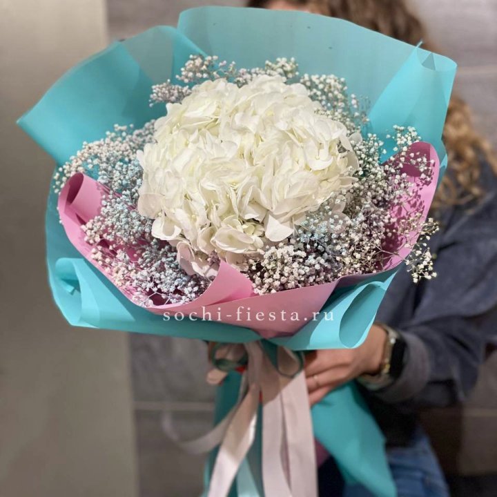 Гортензия "Райдов" в Бийске