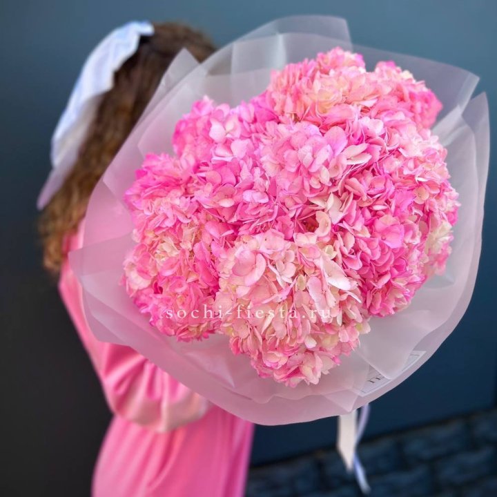 7 ярко розовых гортензий в Бийске