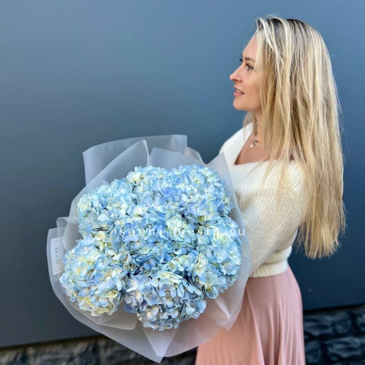 7 голубых гортензий в Бийске