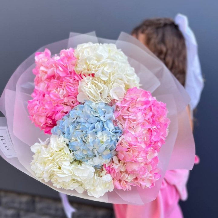 7 гортензий микс в Бийске