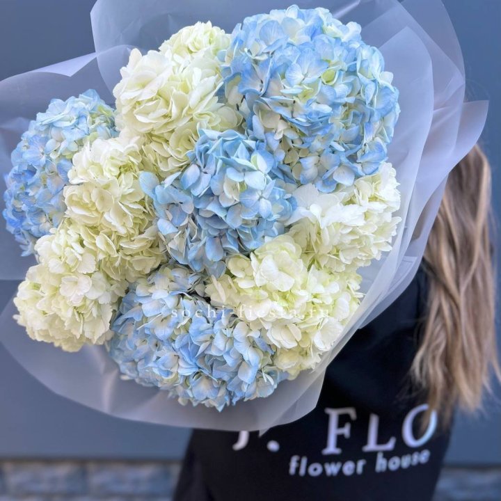 9 бело-голубых гортензий в Бийске