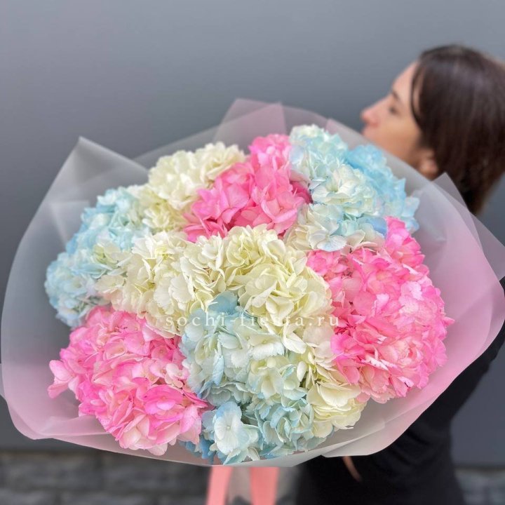 9 гортензий микс в Бийске