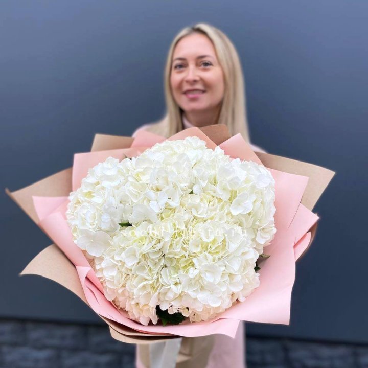 Гортензия белая в Бийске