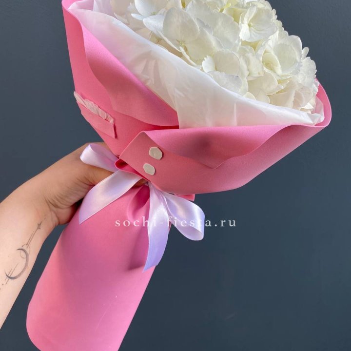 Гортензия в розовом пиджаке в Бийске