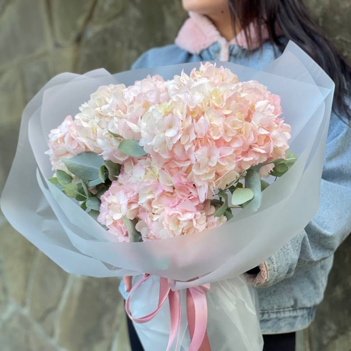 5 розовых гортензий в Бийске