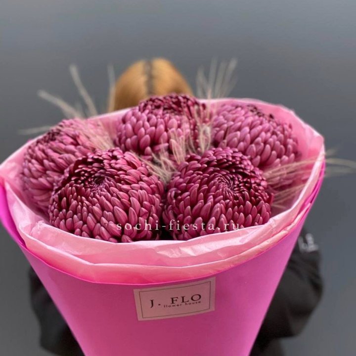 Хризантемы  Бигуди с стифой в Бийске