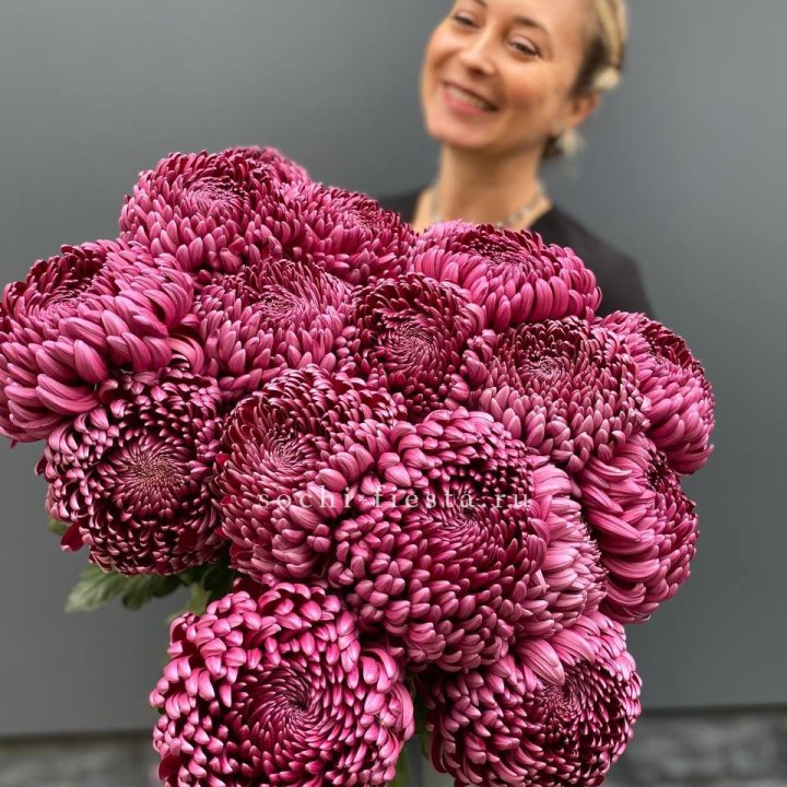 Охапка хризантем Бигуди в Бийске