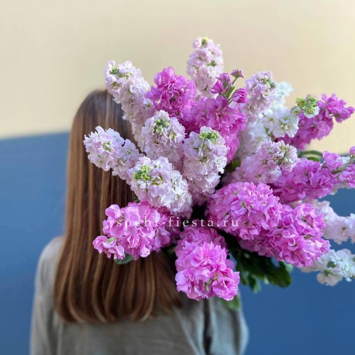 Охапка маттиолы в Бийске