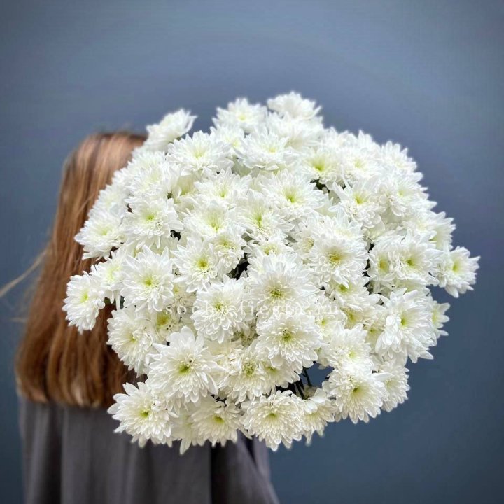 Охапка Хризантемы кустовой в Бийске