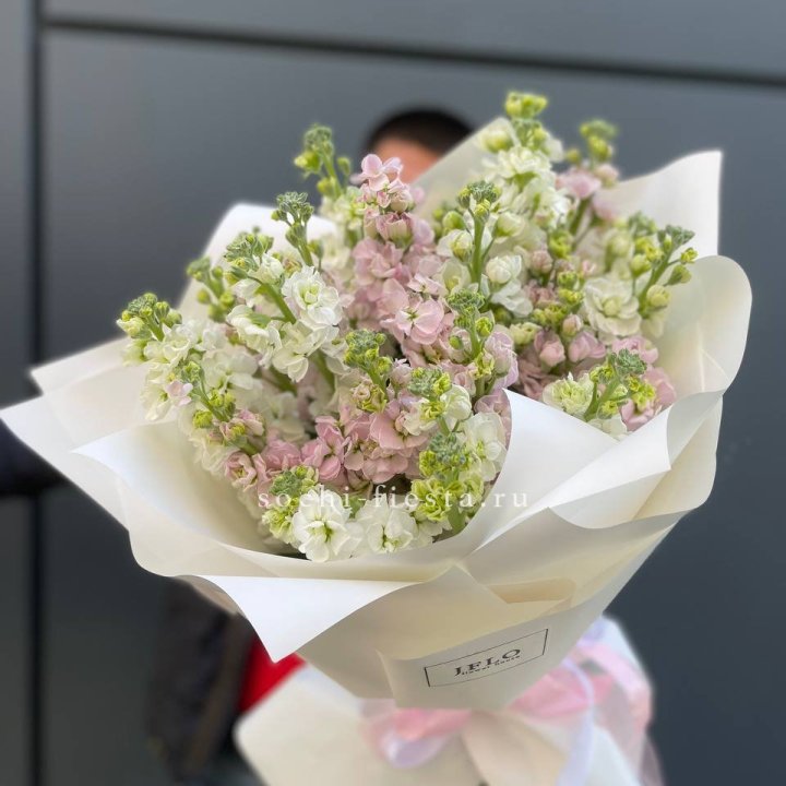 29 маттиол  в Бийске