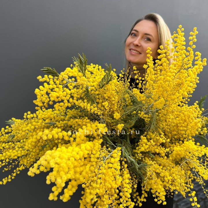 Охапка мимозы №2 в Бийске