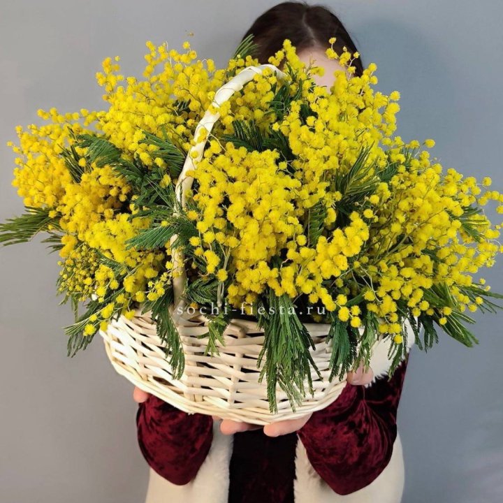 Корзина ароматной мимозы в Бийске