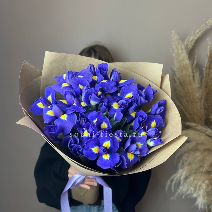 Ирисы в Бийске