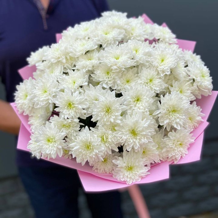  Букет 15 хризантем  в Бийске