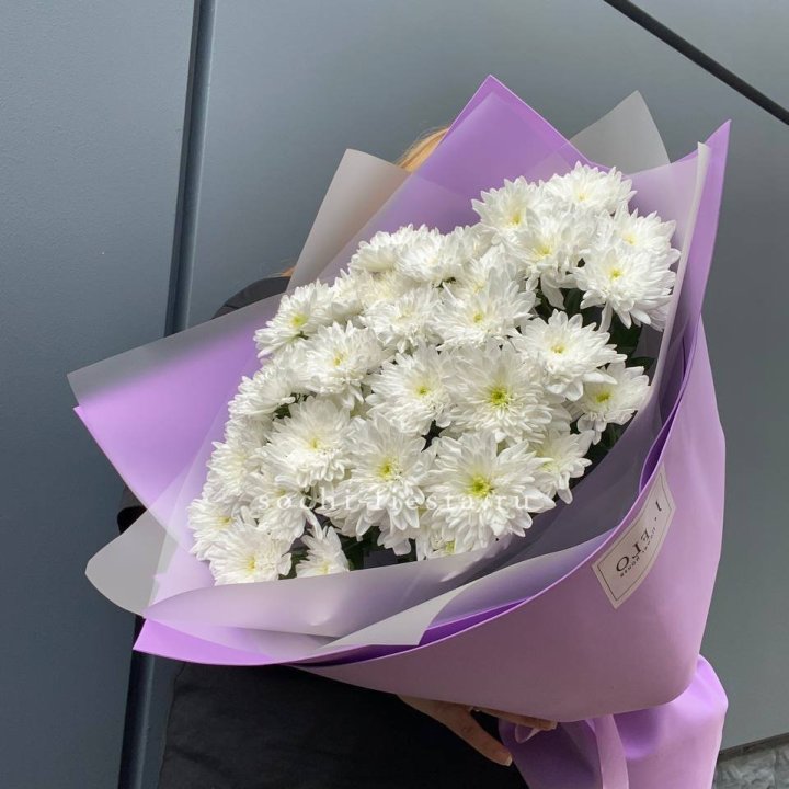  7 хризантем  в Бийске