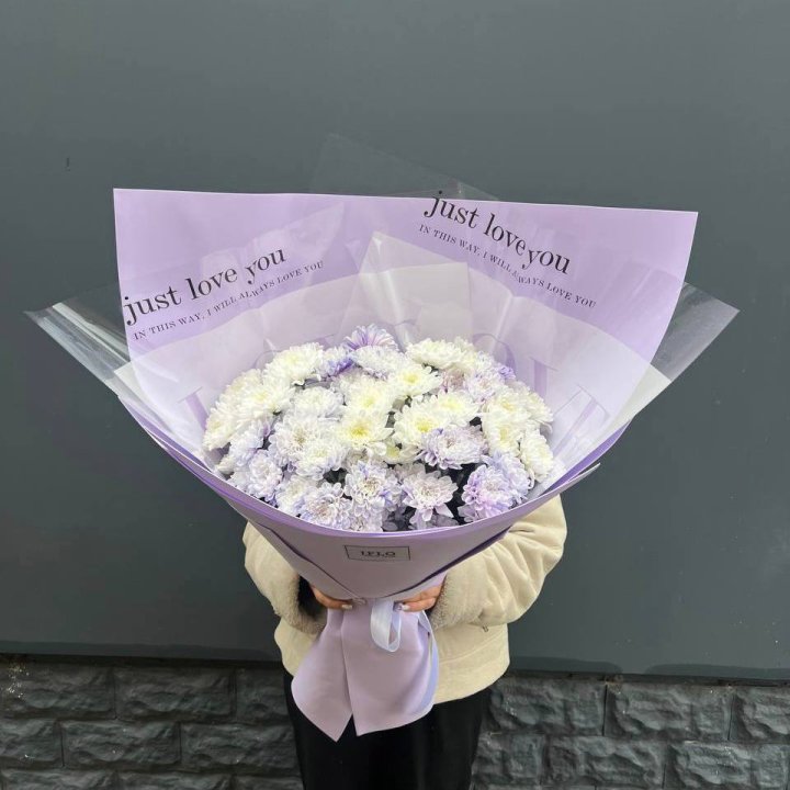 9 воздушных хризантем в Бийске