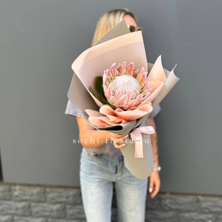 Протея мини  в Бийске