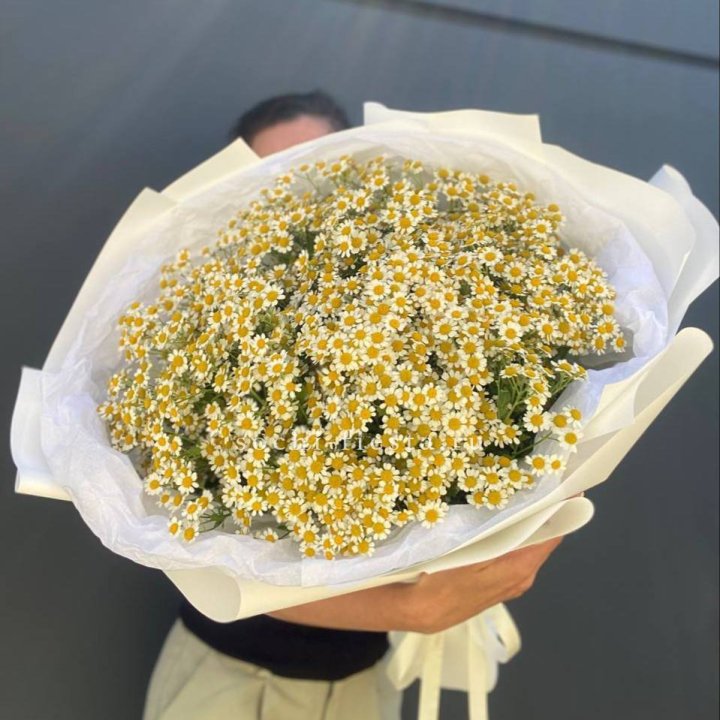 Букет ромашек №2 в Бийске