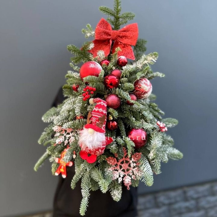 Новогодняя елочка "Ред" в Бийске