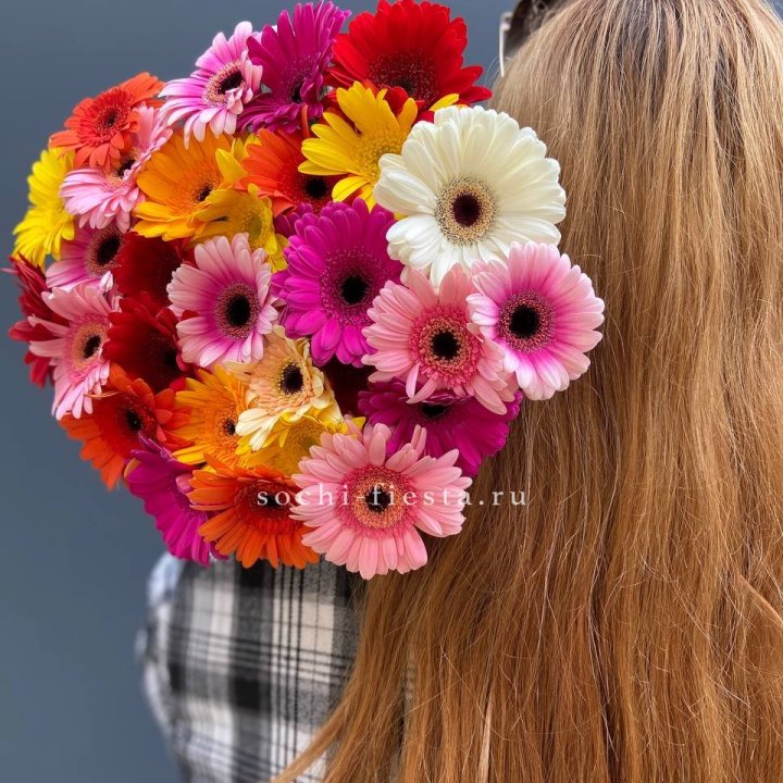 Охапка гербер  в Бийске