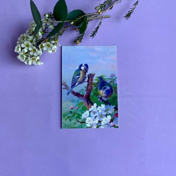 Открытка к букету "Птицы" в Бийске