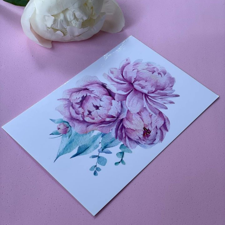 Открытка к букету "Пионы" в Бийске