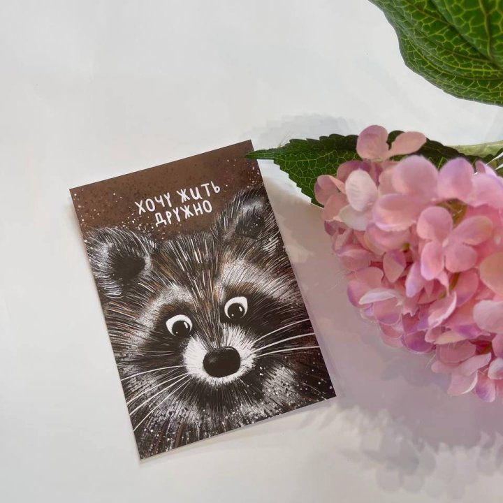 Открытка к букету "Енотик" в Бийске