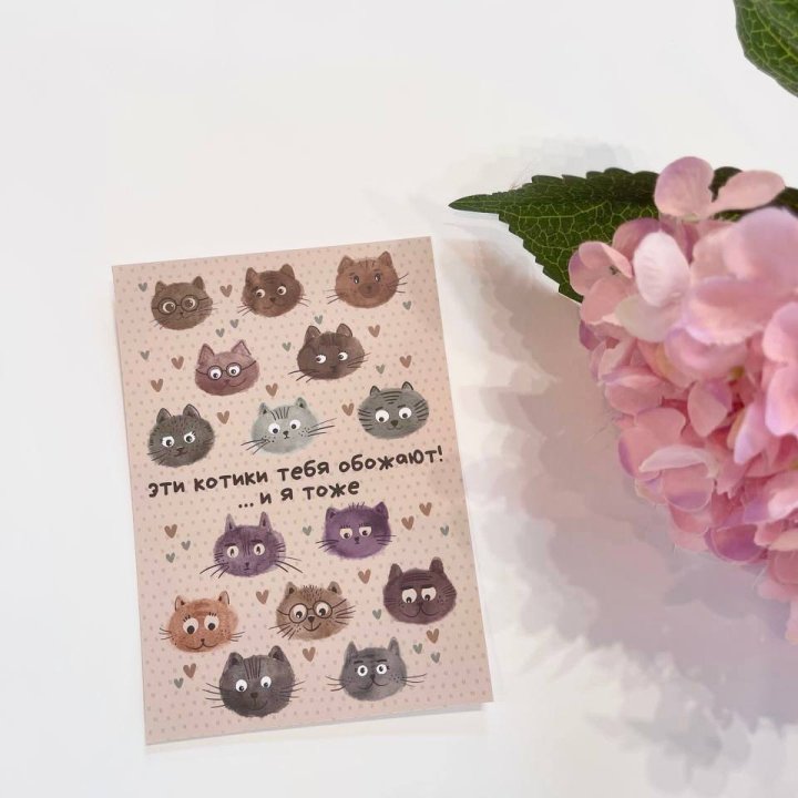 Открытка к букету "Котики" в Бийске