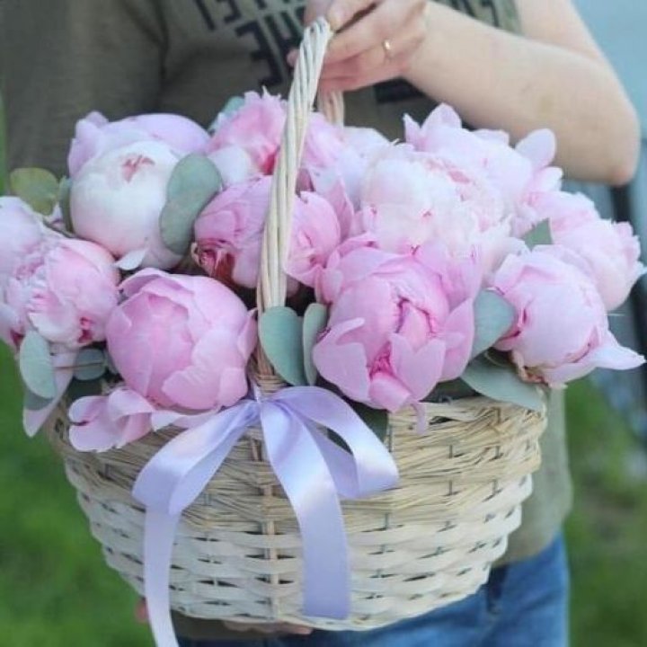 15 пионов в корзине в Бийске