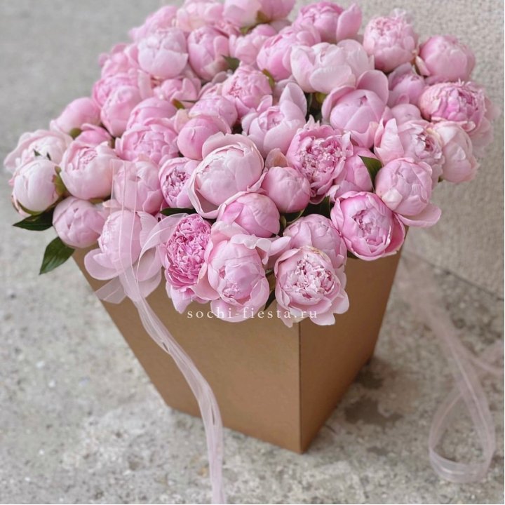 49 пионов в крафт коробке в Бийске