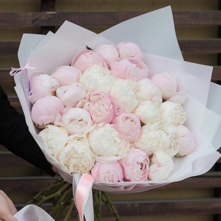 29 пионов в Бийске