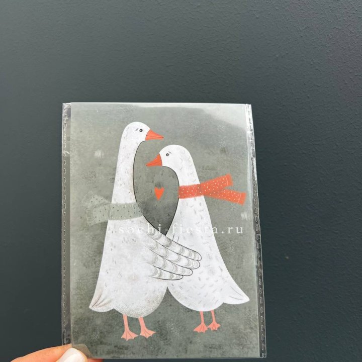 Открытка к букету "Гуси” в Бийске